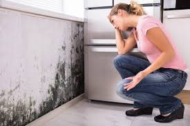 Reliable Falling Water, TN Mold Removal Services Solutions